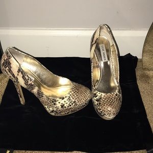 Snake skin Steve Madden heels